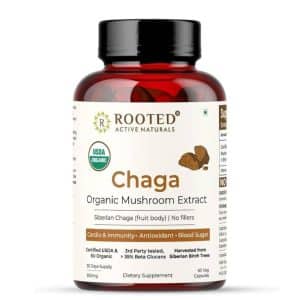 EXTRACTO DE HONGO CHAGA ORGANICO 500 Mg 60 Capsulas