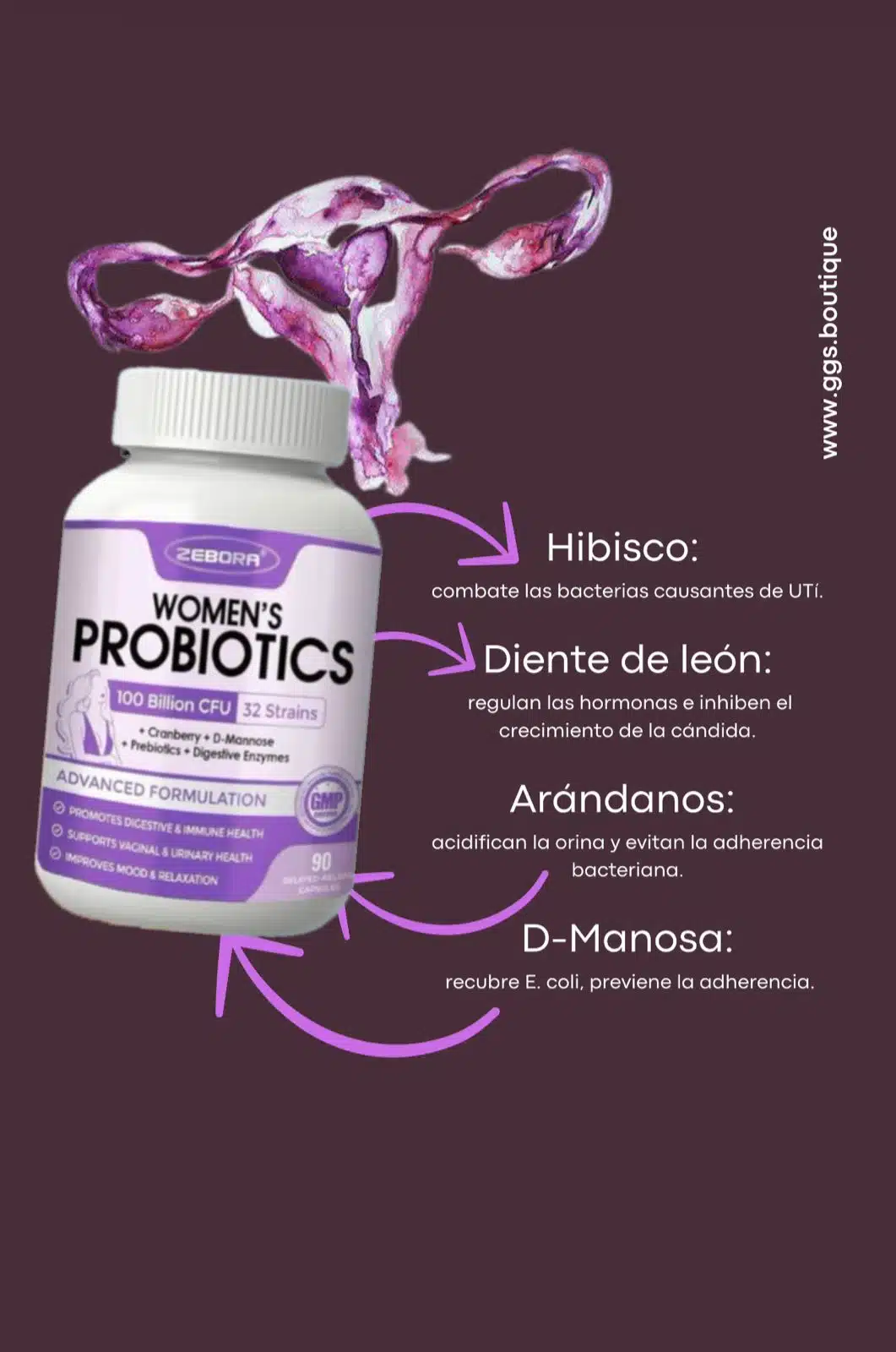 Probioticos Para Mujer 90 Capsulas Vegetales, 100 BILLONES CFU 32 CEPAS - Imagen 8