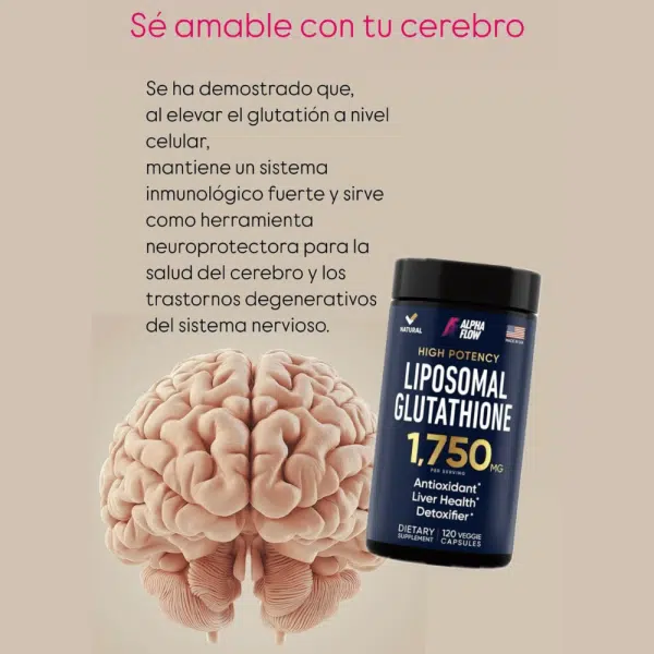 production of glutathione Critical Roles of the Cysteine–Glutathione Axis in the Production of  γ-Glutamyl Peptides in the Nervous System