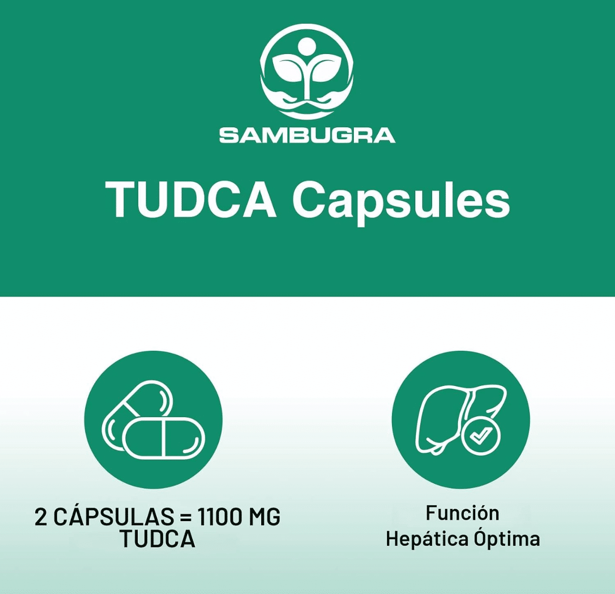 TUDCA, 1100 mg, 60 Capsulas - Imagen 4