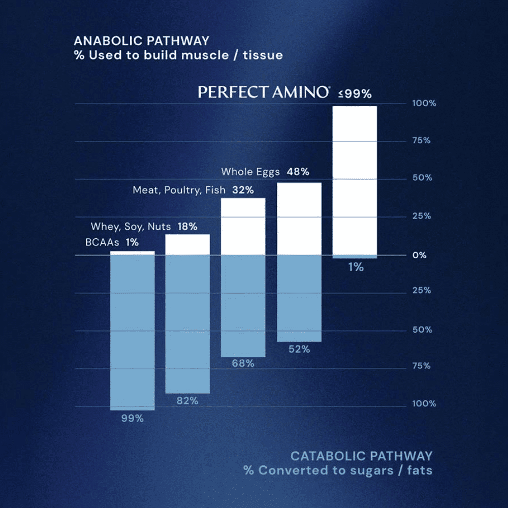 PERFECT AMINO, 600 Tabletas - Imagen 3