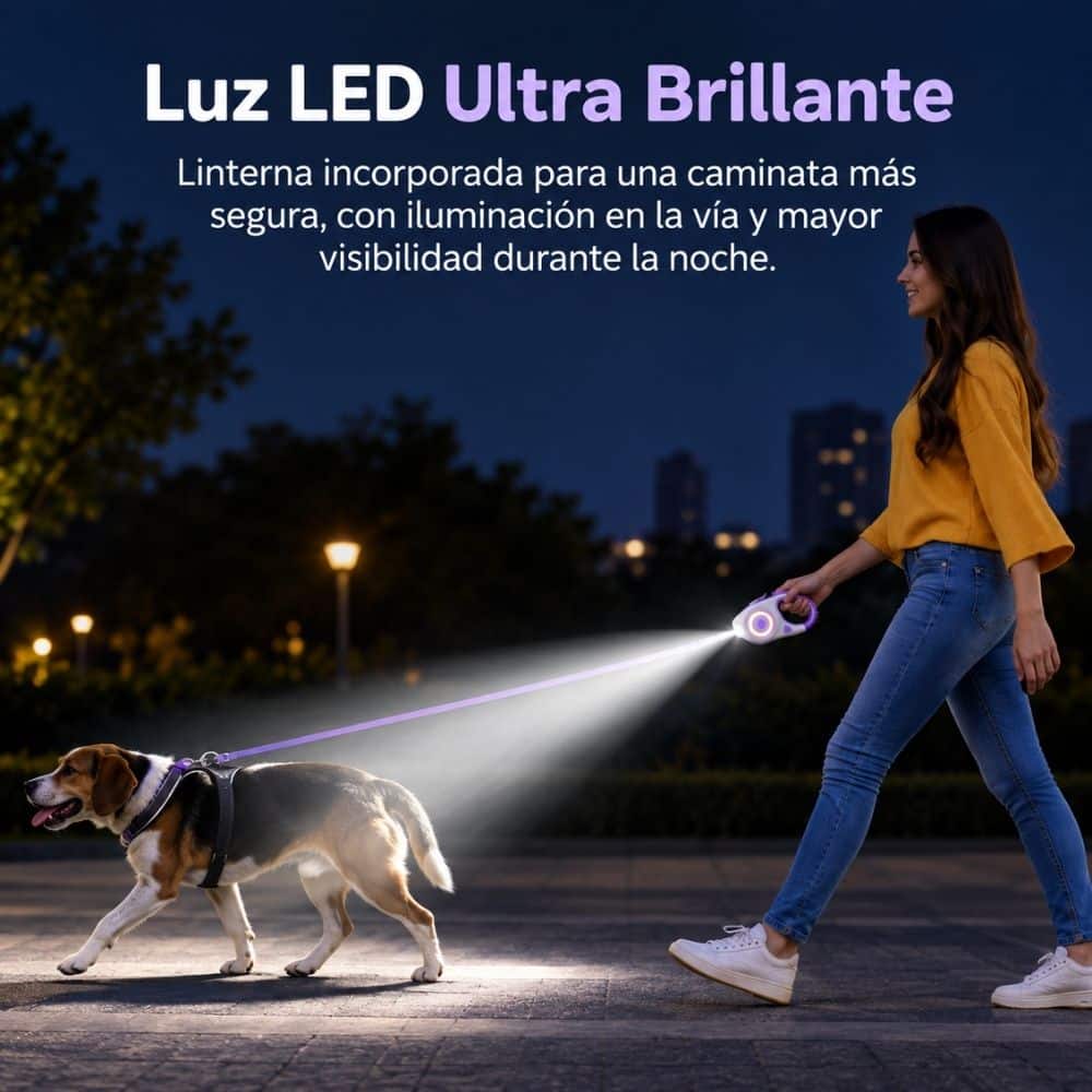 CORREA RETRACTIL MORADA CON LUZ LED - Imagen 4